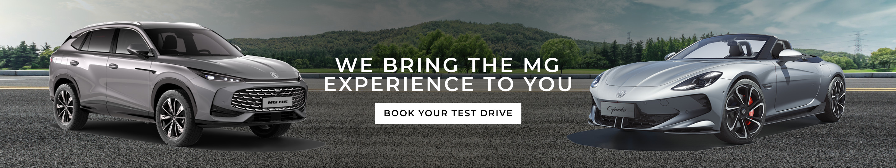 Book a Test Drive